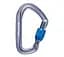 Карабін Black Diamond HotForge Screwgate Carabiner Сірий - мініатюра 1