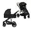 universalna-koliaska-2-v-1-lionelo-mari-tour-black-onyx-chorna-lo-mari-tour-2in1-black-onyx