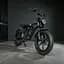 Електровелосипед Volto Vortex 22" фетбайк 1000W 48V 19Ah PAS система чорний - мініатюра 5