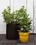 Горшок для цветов Keter 39 л Cylinder Planter Large коричневый - миниатюра 5