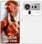 Смартфон ZTE Nubia Z80 Ultra 16/512GB White Global - мініатюра 1