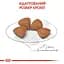 Сухий корм для цуценят дуже мініатюрних порід Royal Canin X-Small Puppy, 3 кг (10020301) - мініатюра 3