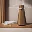 Моноблочная акустическая система Bang & Olufsen Beosound 1 (2-е поколение) Bronze - миниатюра 2