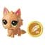 Колекційна фігурка-сюрприз Hasbro Littlest Pet Shop з пророцтвом, в асортименті (E7894) - мініатюра 5