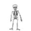 Декор Yes! Fun Halloween Скелет картоновий 60 см (974322) - мініатюра 2