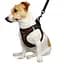 Шлея для собак Bronzedog Sport Vest XS 17х13х3 см коричневая - миниатюра 3