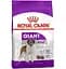 Сухой корм для взрослых собак больших размеров Royal Canin Giant Adult, 4 кг (3009040) - миниатюра 1