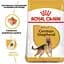 Сухий корм для дорослих собак породи Німецька вівчарка Royal Canin German Shepherd Adult, 3 кг (2518030) - мініатюра 5