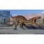 Ключ активації Microsoft Jurassic World Evolution 2: Deluxe Edition для Xbox One/Series - мініатюра 3