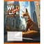 Набір зошитів Yes The wild in the city А5, 24 аркуші 20 шт. (767765) - мініатюра 4