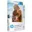 Папір для фотопринтера HP Sprocket Zink 2x3'' 20шт (HPIZ2X320) [141288] - мініатюра 2