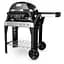 Гриль электрический Weber Pulse 2000 с подставкой (85010079) - миниатюра 2