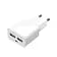 Блок питания 2 usb Travel Adapter для Galaxy Tab / iPad - миниатюра 1