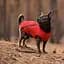 Жилет Pet Fashion E.Vest для собак, розмір S, червоний - мініатюра 3
