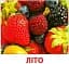 Пори року. Роздавальні картки - мініатюра 2