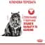 Сухий корм для котів Royal Canin Dental Care, для профілактики утворення зубного нальоту, 1,5 кг (2532015) - мініатюра 6