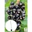 Саженец Agro-Market Смородина на штамбе Black ball вазон С2 (184310) 1 шт. (комнатный) - миниатюра 2