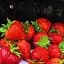 Саженец Agro-Market Клубника Сирафин (ремонтантный сорт) 5 шт. в упаковке (44712) - миниатюра 1