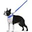 Поводок Dog Extreme из нейлона двойной (ширина 20мм, длина 122см), голубой - миниатюра 6