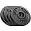 Сет из металлических дисков Hop-Sport Strong 4x1.25 кг - миниатюра 1