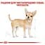 Сухий корм для дорослих собак породи Чихуахуа Royal Canin Chihuahua Adult, 3 кг (2210030) - мініатюра 3