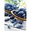 Саджанець Agro-Market Жимолость Карина (ранній термін дозрівання, сорт має відмінну транспортабельність) 1 шт. в упаковці (19930) - мініатюра 2