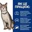 Сухий корм для котів Hill's Prescription Diet ActivBiome+ Kidney Defense підтримання функції нірок, з тунцем, 0,4 кг - мініатюра 3
