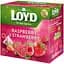 Чай фруктовый Loyd Raspberry & Strawberry малина и клубника 40 г (20 шт. х 2 г) - миниатюра 2