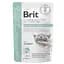 Корм влажный Brit GF VD Urinary and Stress Relief для кошек с индейкой 85 г - миниатюра 1