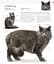 The Cat Encyclopedia - мініатюра 9