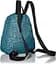 Маленький молодежный рюкзак 10L Half Pint JanSport 28х25х10 см sum0023994 - миниатюра 4