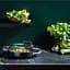 Сотейник с крышкой GreenPan Chef's Collection 28 см 3,5 л с керамическим покрытием (CC007736-001) - миниатюра 4