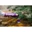 Термос Tramp Expedition Line 0.75 л Purple (UTRC-031-purple) - мініатюра 8