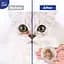 Салфетки влажные Pet Clean Eye & Ear Wipes для гигиены глаз и ушей домашних животных 50 шт. - миниатюра 6