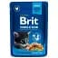 Влажный корм для кошек Brit Premium Cat Pouches Chicken Chunks for Kitten 100 г (8595602506026) - миниатюра 1