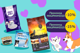 Активуй звіркод з 18:00 до 23:59. Вигода вже зараз! Знижку вибирати тобі: -10% від 1000 грн або -15% від 1800 грн