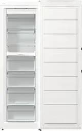 Gorenje Морозильна камера, 185.5x59.5х66.3, 280л, 1дв., A++, NF, дисплей зовн., інвертор, білий - мініатюра 7