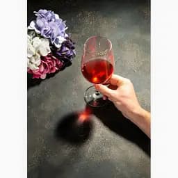 Келих для червоного вина Schott Zwiesel Vina Bordeaux 626 мл (110496) - мініатюра 5