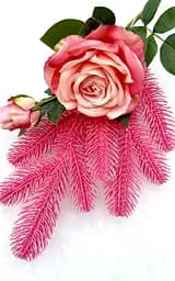 Гілка хвойна лита Hvoya Blush Pink рожева 33 см 250 шт. - мініатюра 2