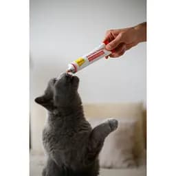Паста для котів GimCat Every Day Multi-Vitamin Extra 50 г - мініатюра 4