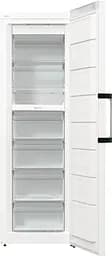 Gorenje Морозильна камера, 185.5x59.5х66.3, 280л, 1дв., A++, NF, дисплей зовн., інвертор, білий - мініатюра 8