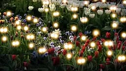 Світильник Sun Lamp Firefly Skylight із зеленим листям садовий декоративний 2 шт - мініатюра 8