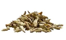 Чай Jinglong Tea Factory Дикі бруньки з пуерних дерев Гу Шу Я Бао від Цзин Лун 2021 р. - 50 г - мініатюра 4