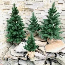 Ялинка Hvoya Premium лита в мішковині 70 см зелена - мініатюра 8