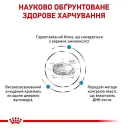 Сухий дієтичний корм для дорослих собак Royal Canin Anallergenic, 8 кг (40140801) - мініатюра 5