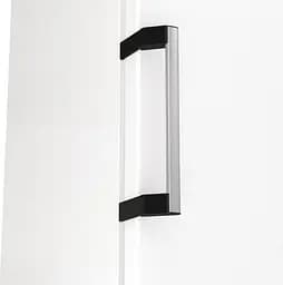 Gorenje Морозильна камера, 185.5x59.5х66.3, 280л, 1дв., A++, NF, дисплей зовн., інвертор, білий - мініатюра 6