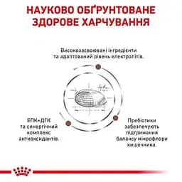 Сухий корм для собак Royal Canin Gastrointestinal при порушенні травлення 15 кг - мініатюра 5