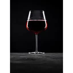 Келих для червоного вина Schott Zwiesel Burgundy 955 мл (121409) - мініатюра 3