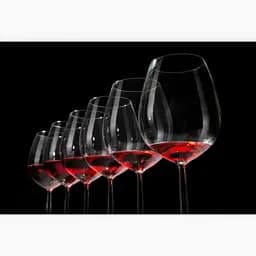 Келих для червоного вина Schott Zwiesel Vina Bordeaux 626 мл (110496) - мініатюра 4