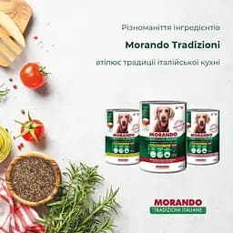 Вологий корм для собак Morando Tradizioni шматочки в соусі з яловичиною 405 г - мініатюра 2